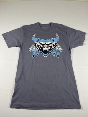 Chicago Bulls The Beast T-Shirt Men’s Large Gray Graphic Tee